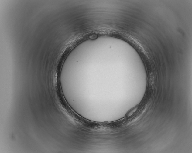 X0000111510589200908041224