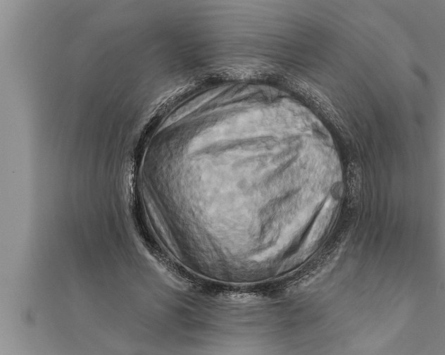 X0000111510590200908041224