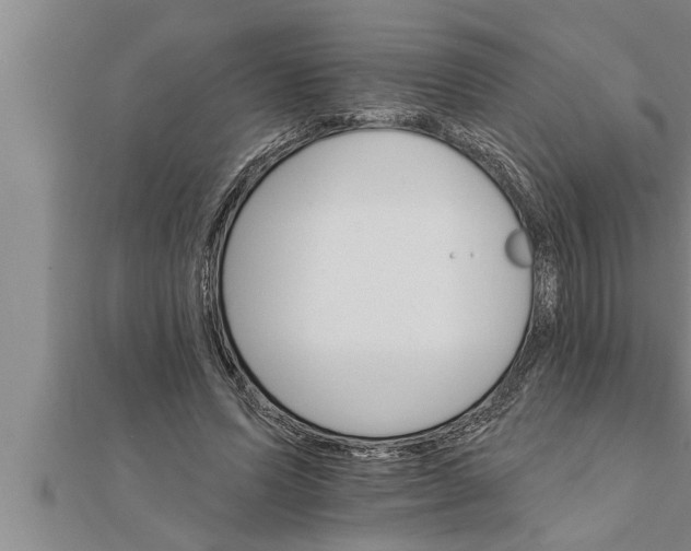 X0000111510591200908041224