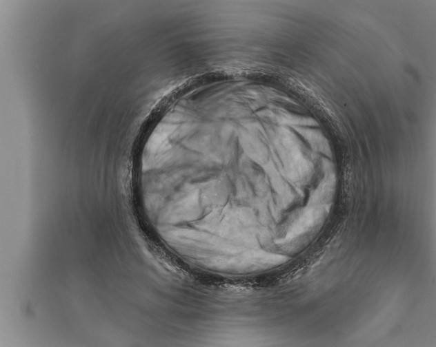 X0000111510592200908041224