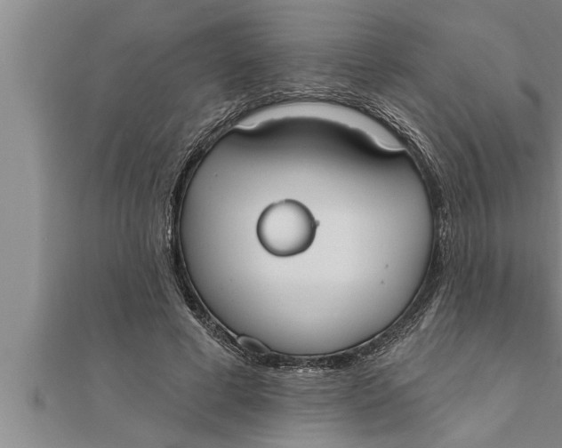 X0000111510593200908041224