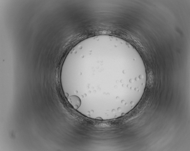 X0000111510594200908041224