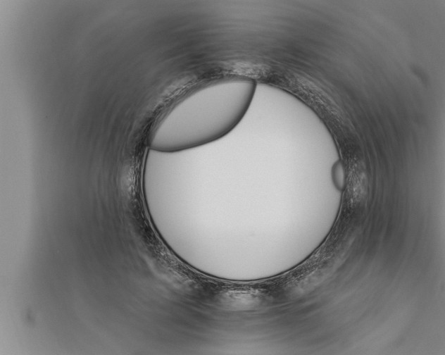 X0000111510595200908041224