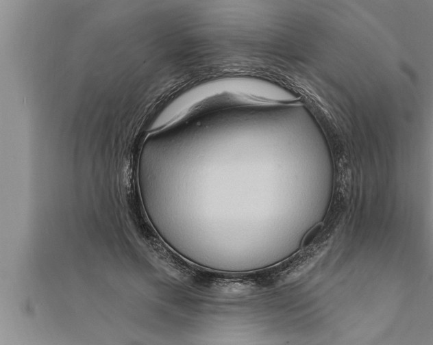 X0000111510597200908041224