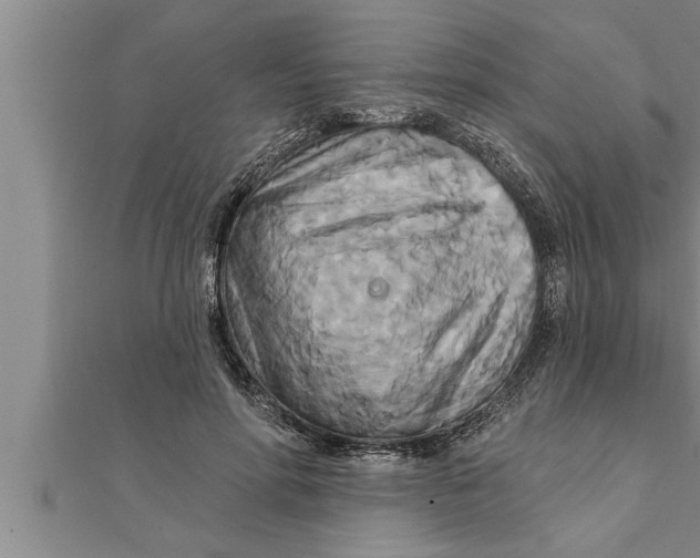 X0000111510598200908041224