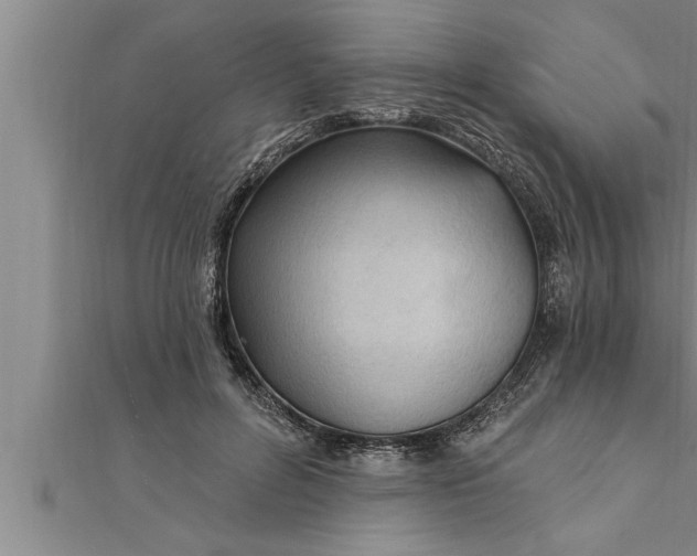 X0000111510600200908041224