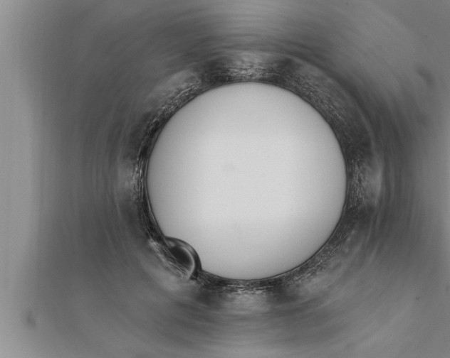 X0000111510601200908041224