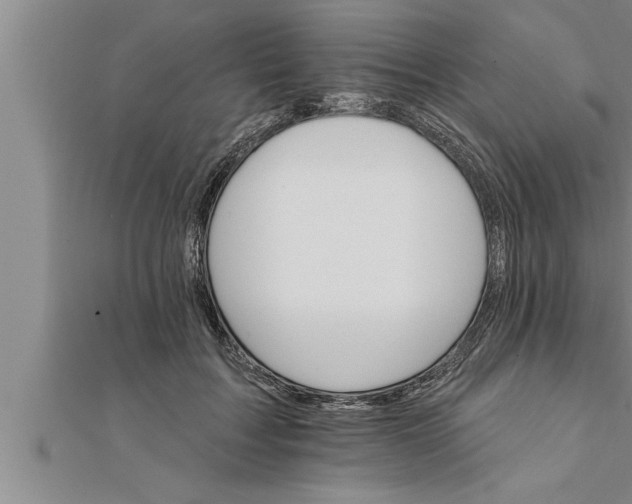 X0000111510603200908041224