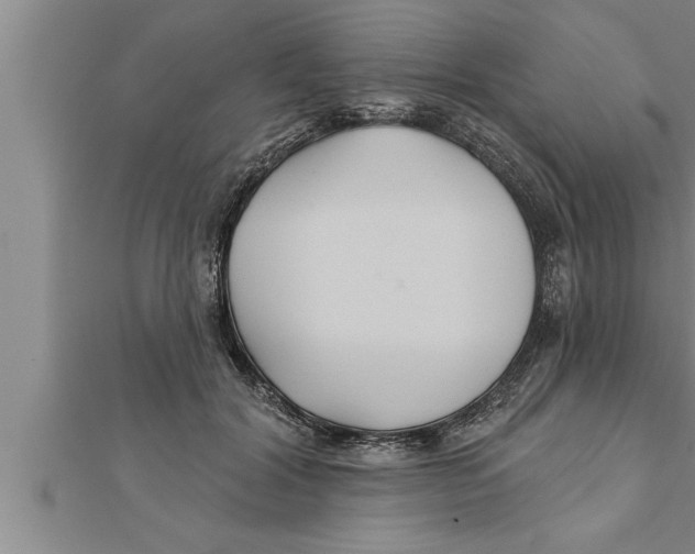 X0000111510604200908041224