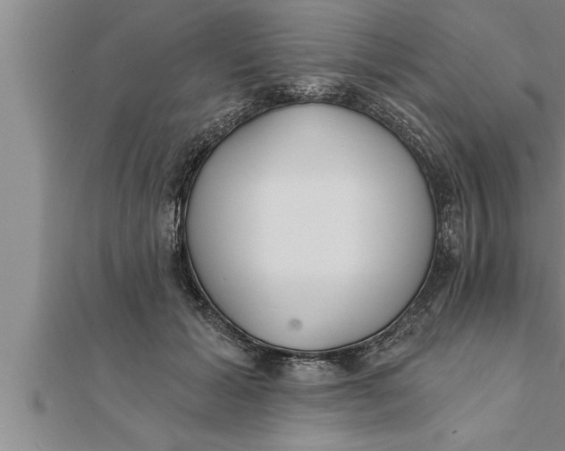 X0000111510605200908041224