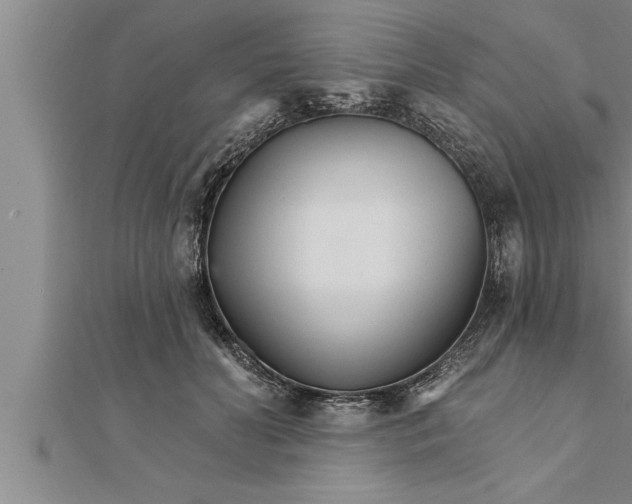 X0000111510606200908041224