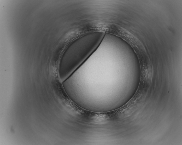 X0000111510609200908041224