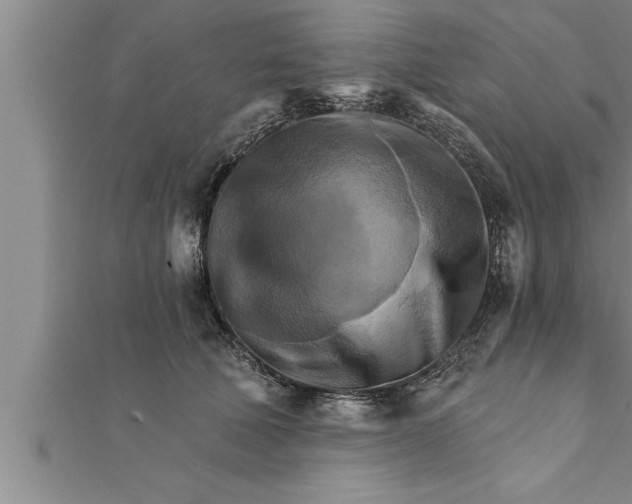 X0000111510610200908041224