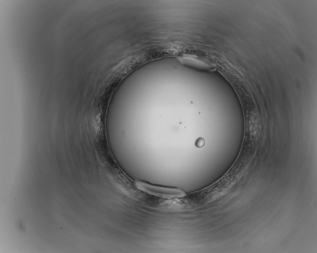 X0000111510611200908041224