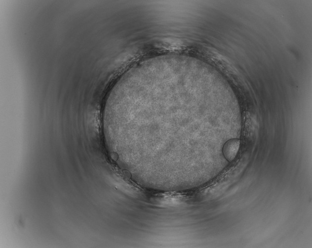 X0000111510612200908041224