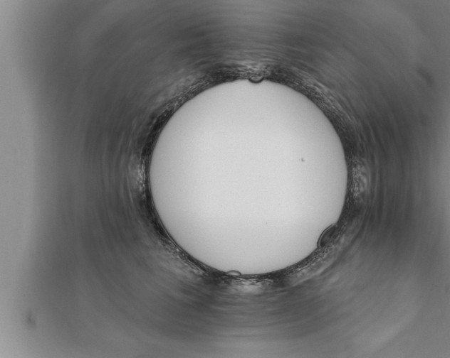 X0000111510613200908041224