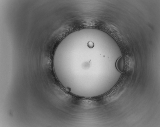 X0000111510614200908041224