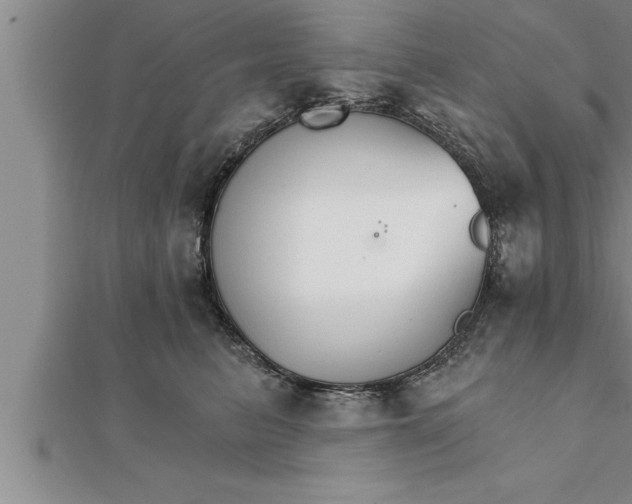 X0000111510615200908041224