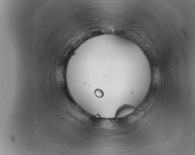 X0000111510616200908041224