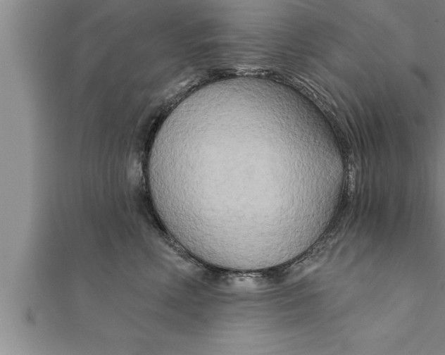 X0000111510618200908041224