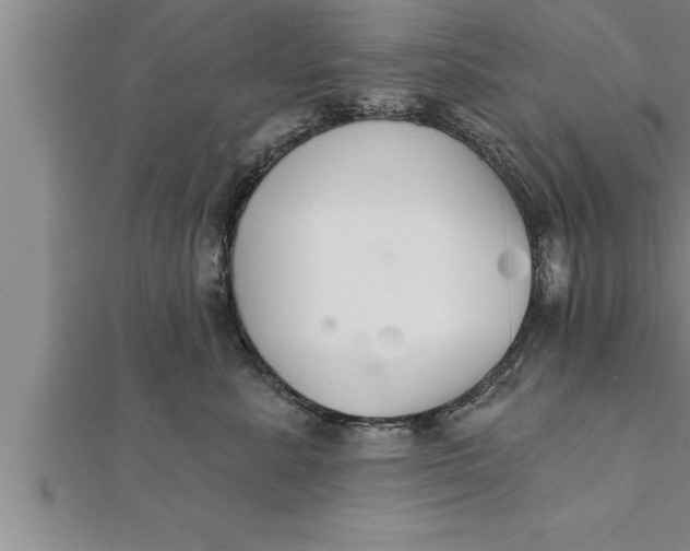 X0000111510619200908041224