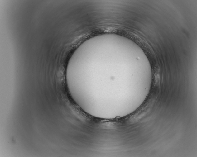 X0000111510620200908041224