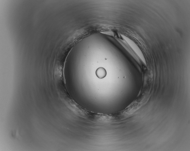 X0000111510621200908041224