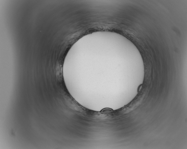 X0000111510624200908041224