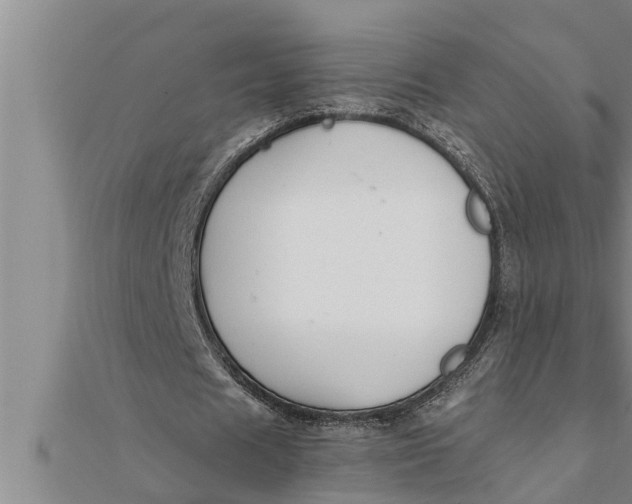 X0000111510625200908041223