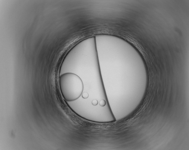 X0000111510626200908041223