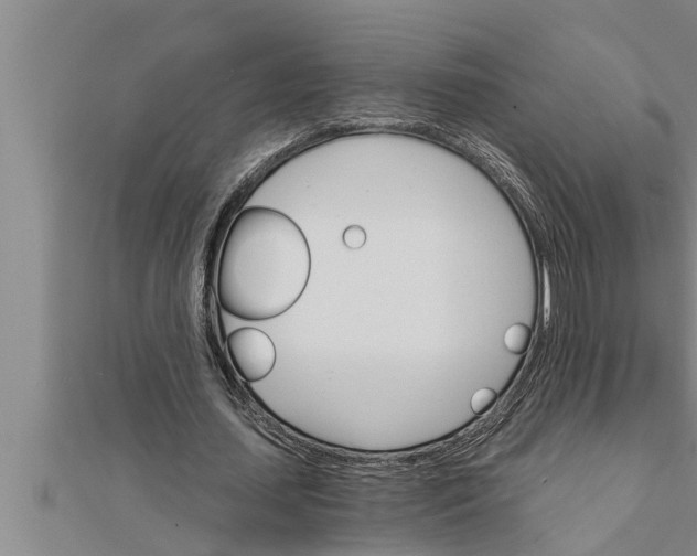 X0000111510627200908041223