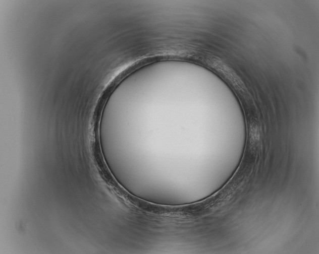 X0000111510628200908041223