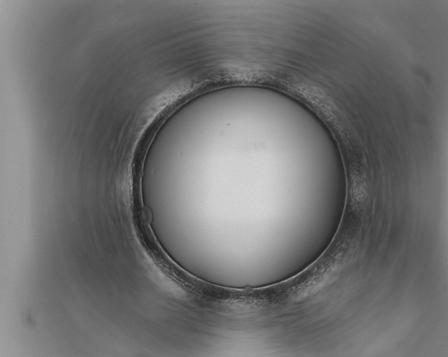 X0000111510630200908041223