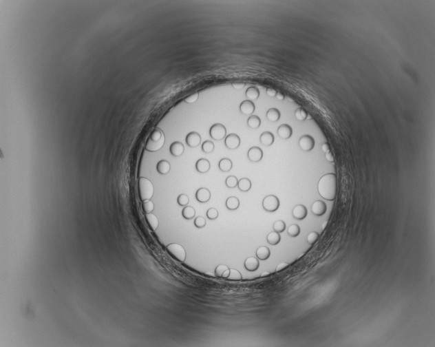 X0000111510631200908041223