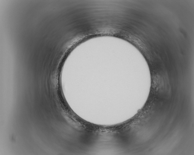 X0000111510632200908041223