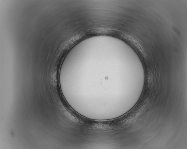 X0000111510633200908041223