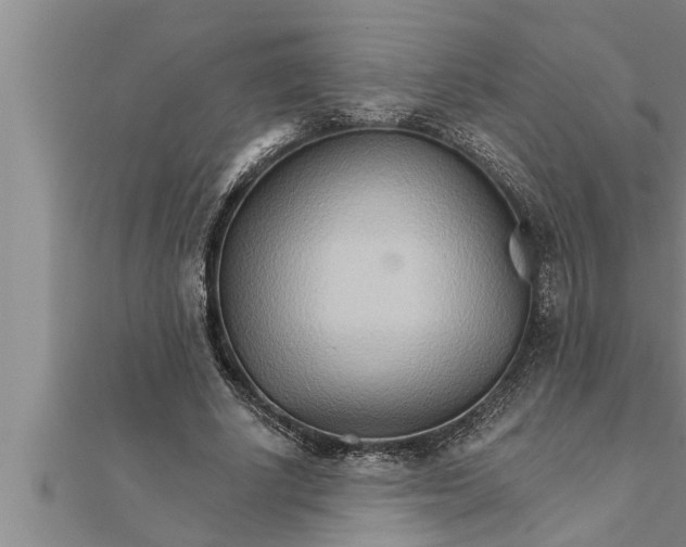 X0000111510634200908041223