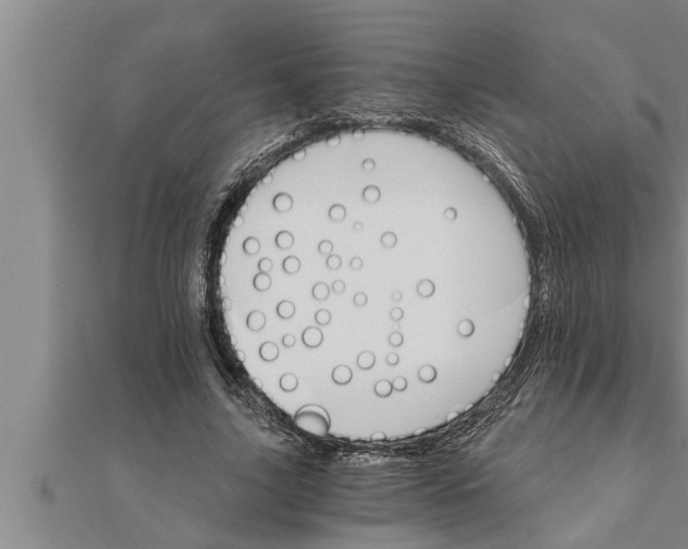 X0000111510635200908041223