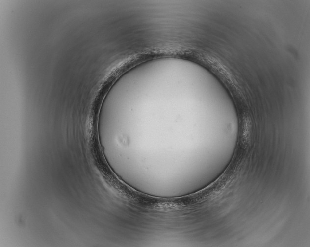 X0000111510636200908041223