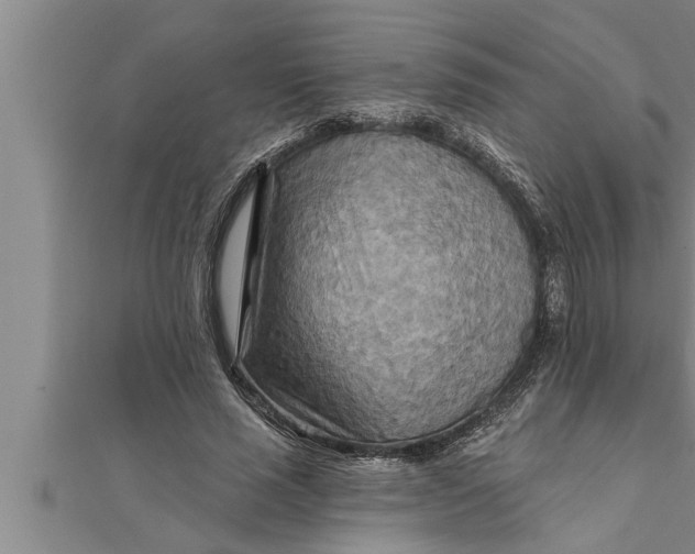 X0000111510637200908041223