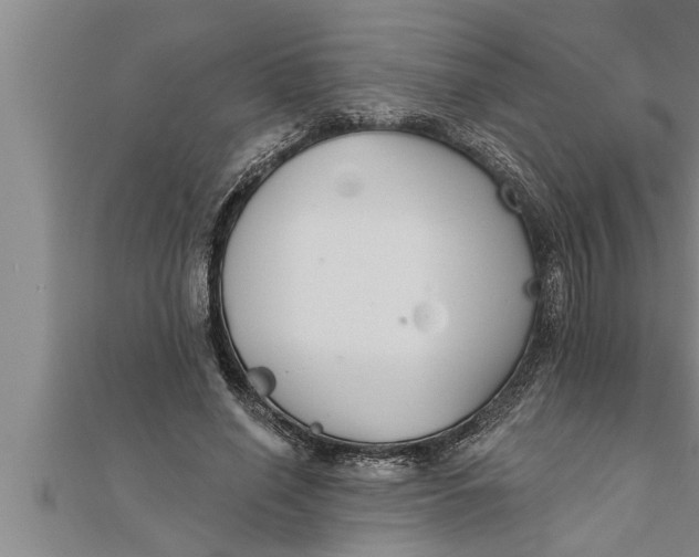 X0000111510638200908041223