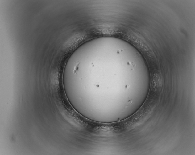 X0000111510639200908041223