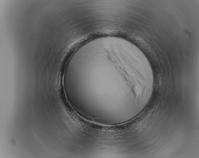 X0000111510640200908041223