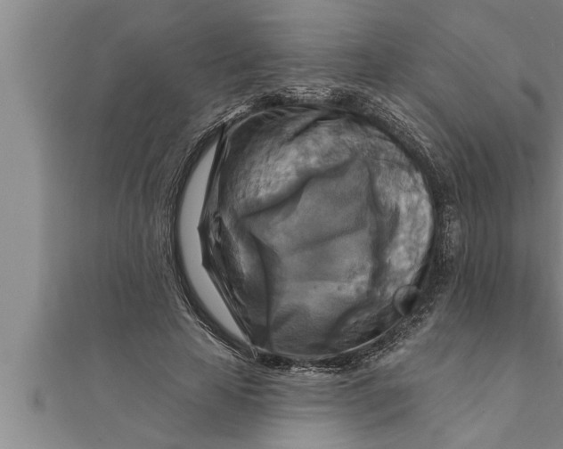 X0000111510641200908041223