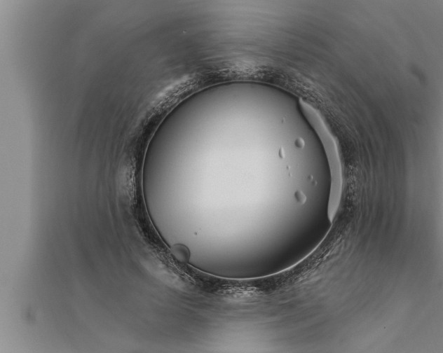 X0000111510642200908041223