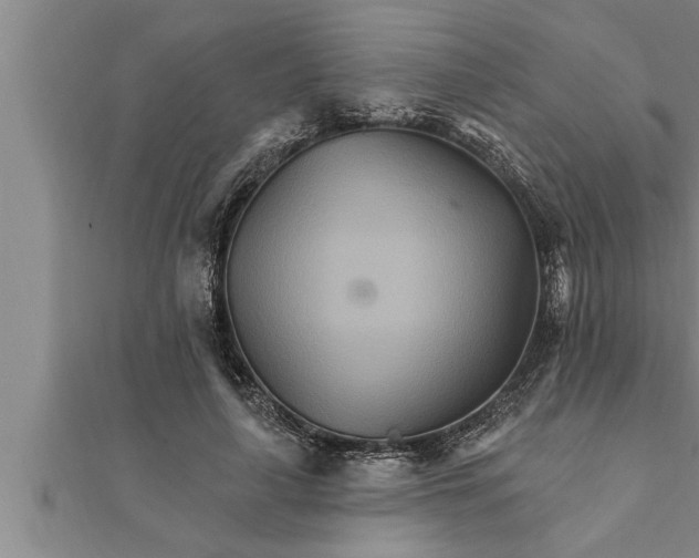 X0000111510643200908041223