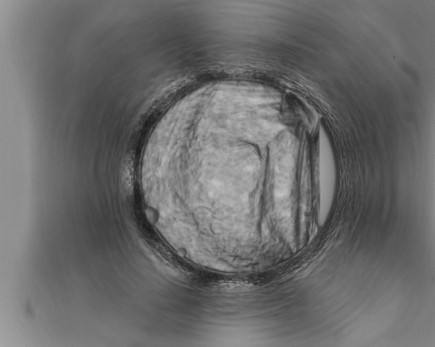 X0000111510644200908041223