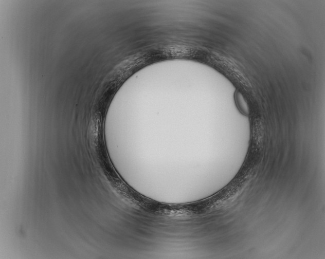 X0000111510645200908041223