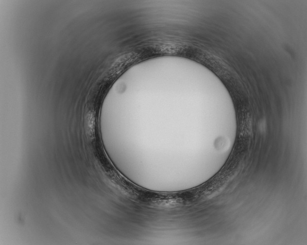 X0000111510646200908041223