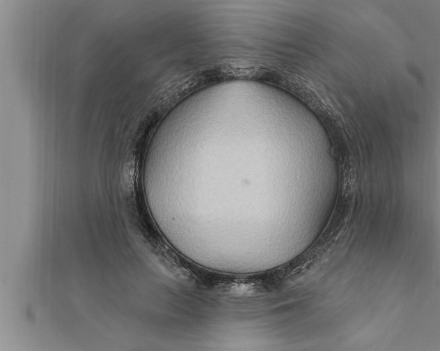 X0000111510647200908041223